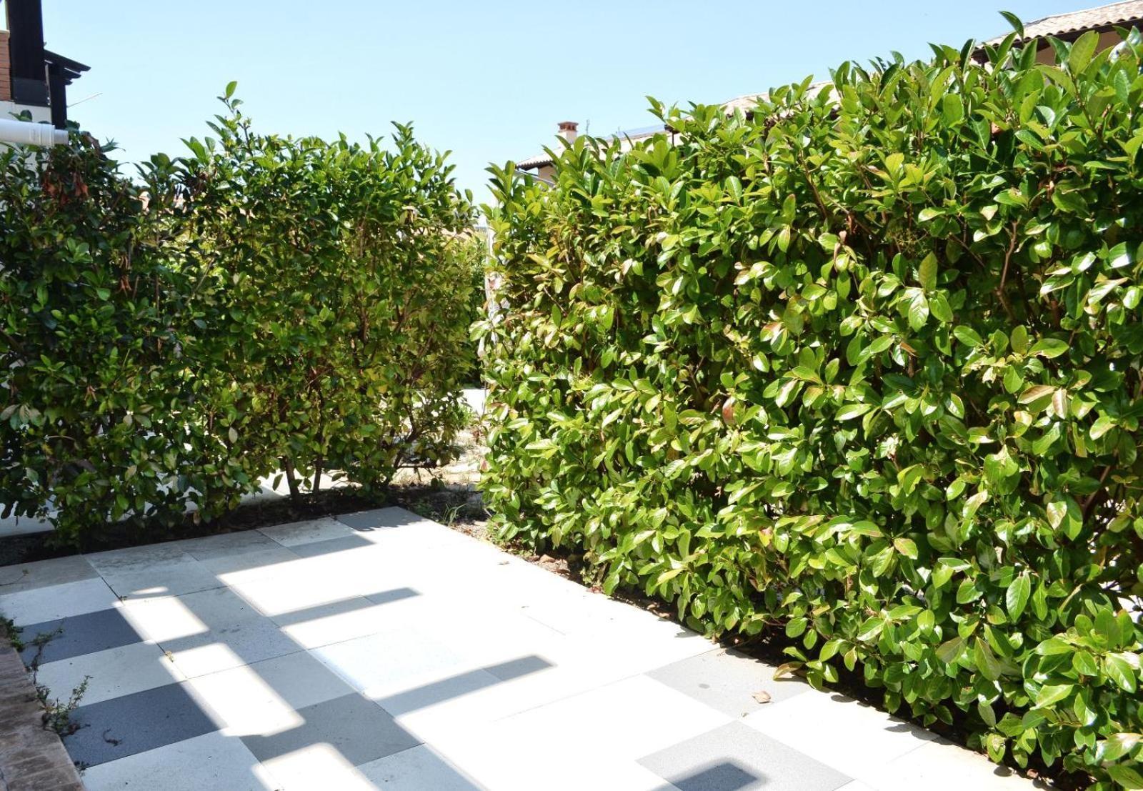 Le Case Del Carmine Con Giardino E Parcheggio A Tropea Exterior foto